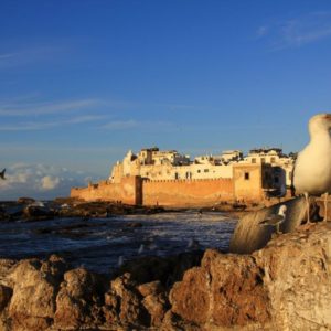 Balade guidée à travers Essaouira Maroc