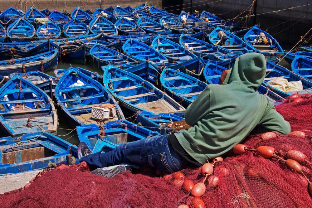 Balade guidée à travers Essaouira Maroc