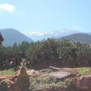 Balade Parc National du Toubkal transfert 4x4 Maroc