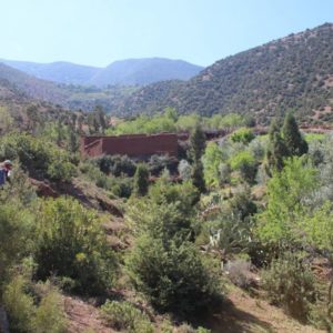 Balade Parc National du Toubkal transfert 4x4 Maroc
