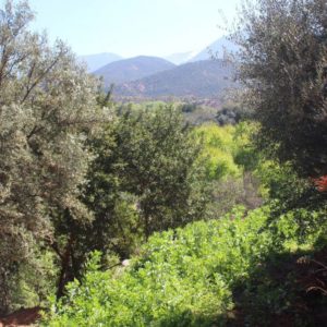 Balade Parc National du Toubkal transfert 4x4 Maroc