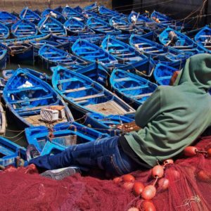 City Trek Essaouira