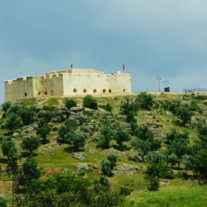City Trek Fes