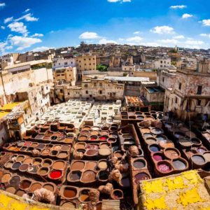 City Trek Fes