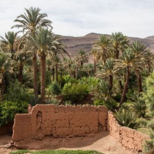 Découverte des vallées du Sud Chegaga Maroc