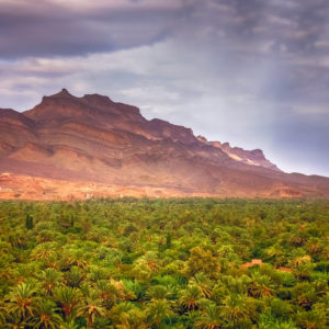 decouverte des vallees du sud chagaga Maroc
