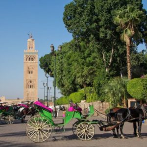 Découverte médina de Marrakech Maroc