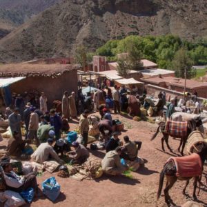Excursion dans la vallée du Zat Maroc