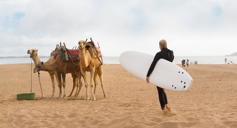 Journée Surf dans les vagues de l'Atlantique