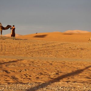 Rando chamelière dans les dunes du Sahara