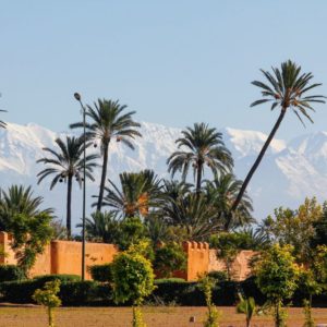 Visite des jardins de Marrakech