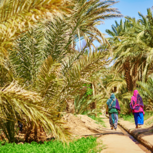 Anti Atlas Sud Maroc Oasis Destination Evasion